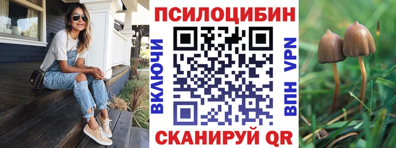 купить наркотик  Ростов  Псилоцибиновые грибы Psilocybine cubensis 